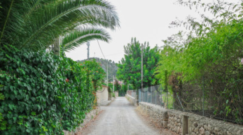Balearic Islands - Pollensa - 1600m2