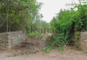 Terreno no urbanizable en venta en la España, Puerto de Pollensa, ref: TR113162 foto