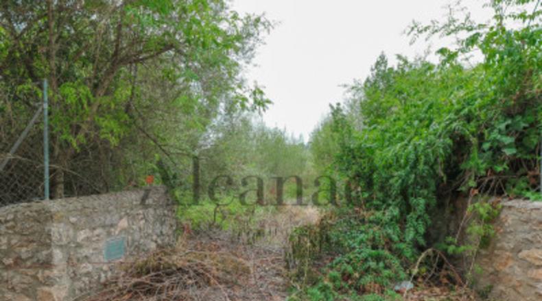Balearic Islands - Pollensa - 1600m2
