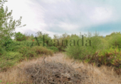 Terreno no urbanizable en venta en la España, Puerto de Pollensa, ref: TR113162 foto
