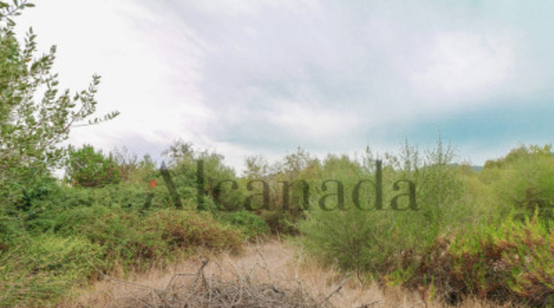 Balearic Islands - Pollensa - 1600m2