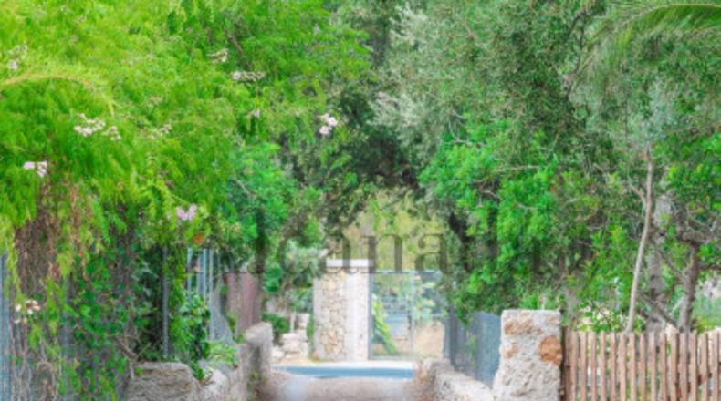 Balearic Islands - Pollensa - 1600m2