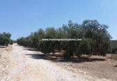 Terreno no urbanizable en venta en la España, Lucena, ref: TR306457 foto