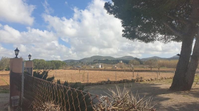 Balearic Islands - Manacor - 30000m2