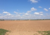 Parcel·la urbanitzable en venda a la España, Manacor, ref.: TR114831 foto