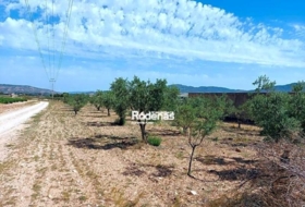 Foto 14