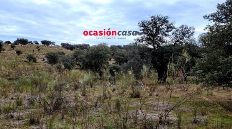Córdoba - Torrecampo - 200000m2