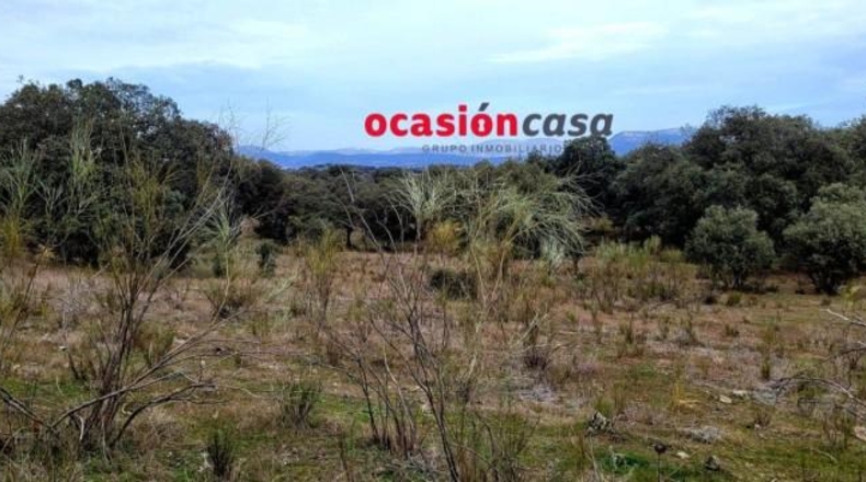 Córdoba - Torrecampo - 200000m2