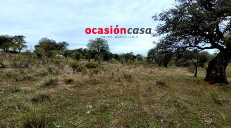 Córdoba - Torrecampo - 200000m2