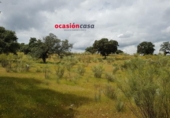 Xalet independent amb terreny en venda a la España, Torrecampo, ref.: TR137471 foto