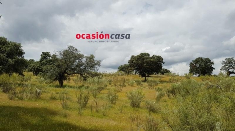 Córdoba - Torrecampo - 200000m2