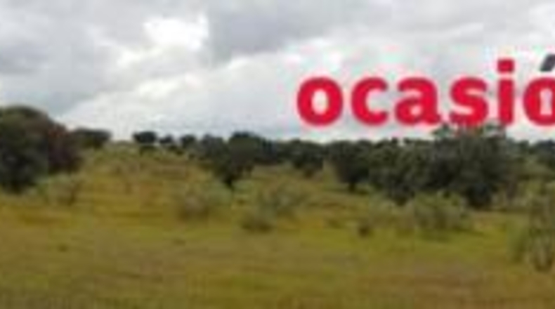 Córdoba - Torrecampo - 200000m2