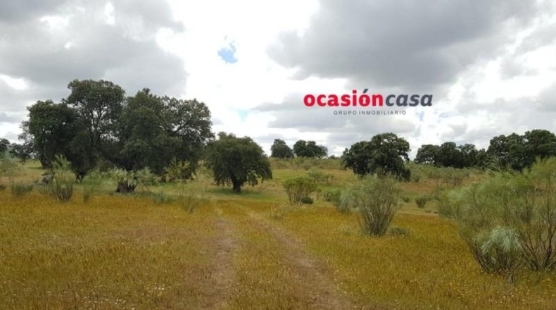 Córdoba - Torrecampo - 200000m2