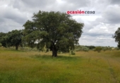 Xalet independent amb terreny en venda a la España, Torrecampo, ref.: TR137471 foto