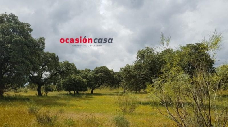 Córdoba - Torrecampo - 200000m2