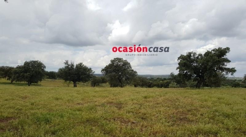 Córdoba - Torrecampo - 200000m2