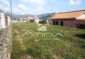 Suelo urbano en venta en la España, Palma de Gandía, ref: TR117353 foto