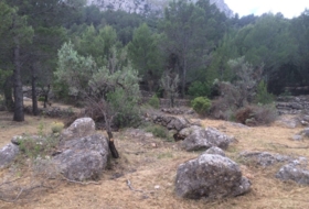 Foto 8