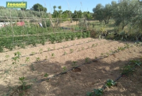 Foto 8