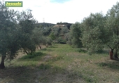 Country house with land for sale on España, Villaviciosa de Córdoba, ref: TR298066 photo