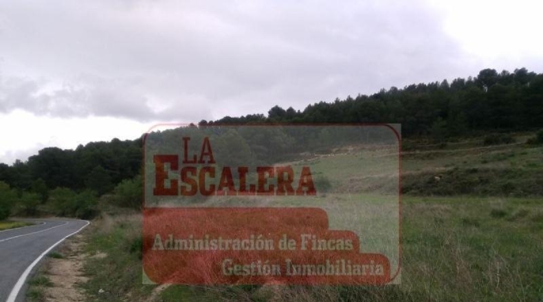 Alicante - Ibi - 58660m2