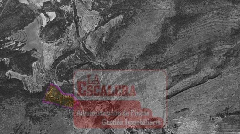 Alicante - Ibi - 58660m2