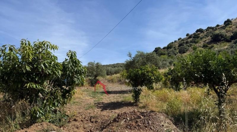 Малага - Pizarra - 8000m2