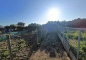 Xalet independent amb terreny en venda a la España, Chiclana de la Frontera, ref.: TR316987 foto