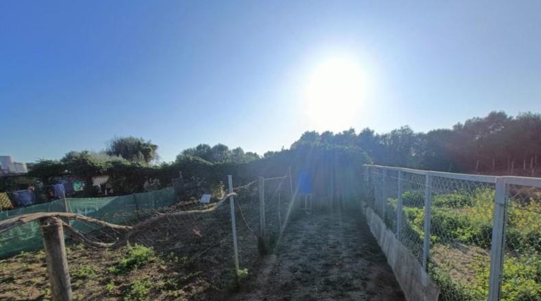 Cadiz - Chiclana de la Frontera - 960m2