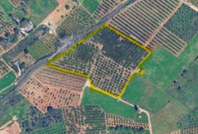 Pedreguer 11831&nbsp;м²