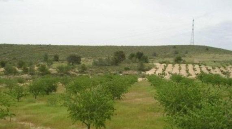 Murcia - Abanilla - 65000m2