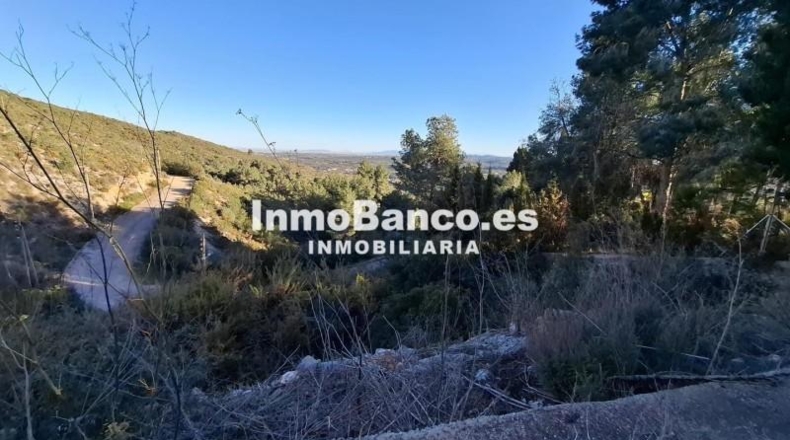 Valencia - Torrente - 890m2
