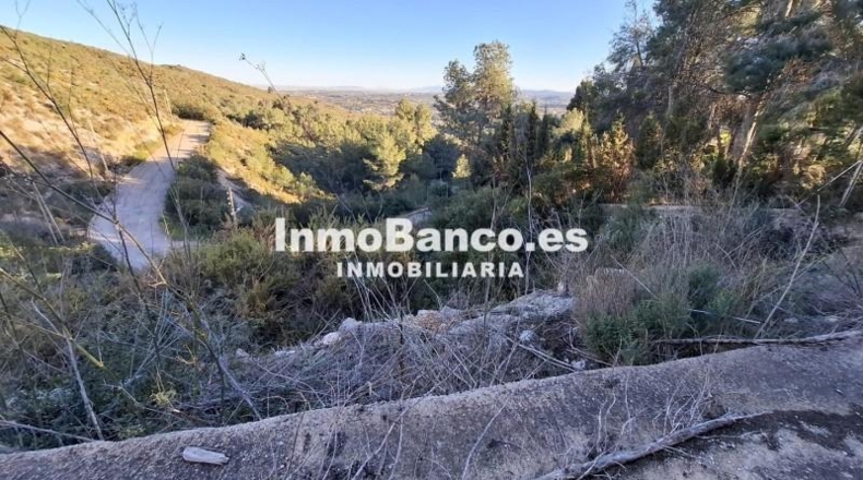 Valencia - Torrente - 890m2