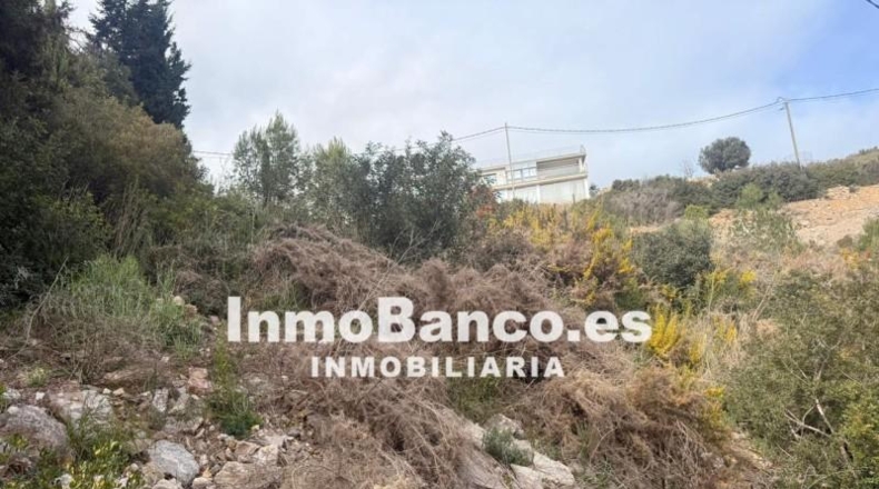 Valencia - Torrente - 890m2