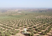 Terreno no urbanizable en venta en la España, Montoro, ref: TR350710 foto