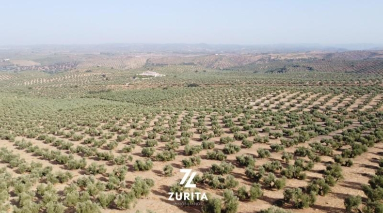 Granada - Atarfe - 34700m2