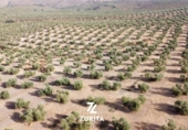 Terreno no urbanizable en venta en la España, Montoro, ref: TR350710 foto