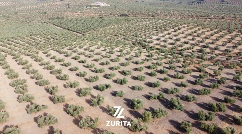 Granada - Atarfe - 34700m2
