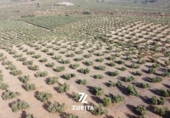 Terreno no urbanizable en venta en la España, Montoro, ref: TR350710 foto