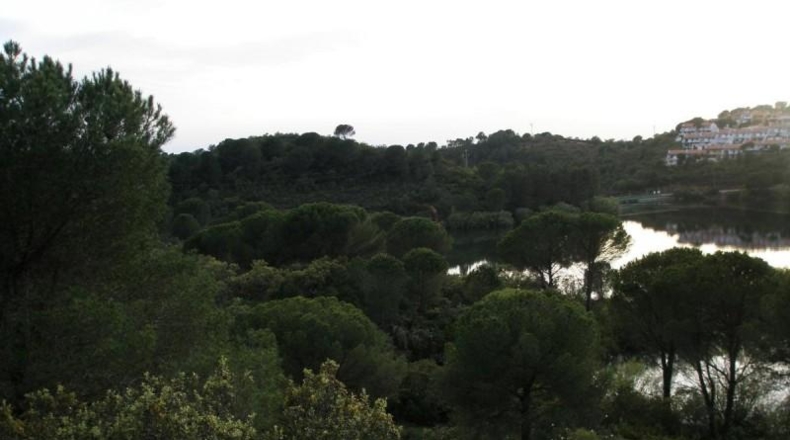 Córdoba - Còrdova - 1580m2