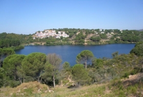 Foto 14