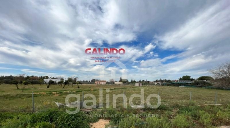 Sevilla - Arahal - 10000m2