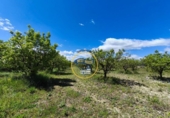 Terreno no urbanizable en venta en la España, Agullent, ref: TR408059 foto