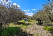 Terreno no urbanizable en venta en la España, Agullent, ref: TR408059 foto