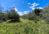 Terreno no urbanizable en venta en la España, Agullent, ref: TR408059 foto