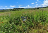 Terreno no urbanizable en venta en la España, Agullent, ref: TR408059 foto