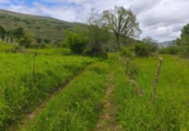 Non-developable land for sale on España, Río, ref: TR410632 photo