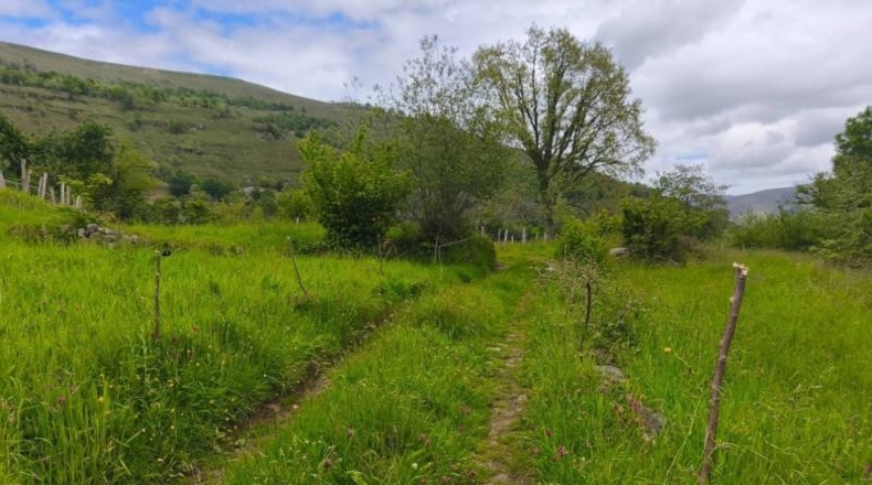 Cantàbria - Río - 460m2