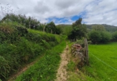Non-developable land for sale on España, Río, ref: TR410632 photo