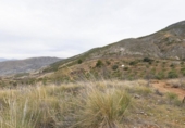 Terreno no urbanizable en venta en la España, Monachil, ref: TR371507 foto